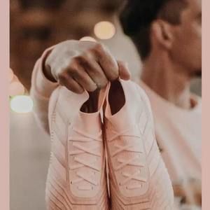 Meet your Posher, Walden